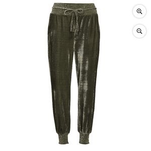 Like New Velour Joggers